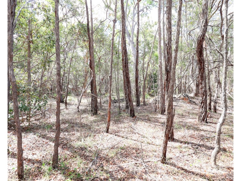 Lot 74 Mcghee Crescent, Agnes Water QLD 4677