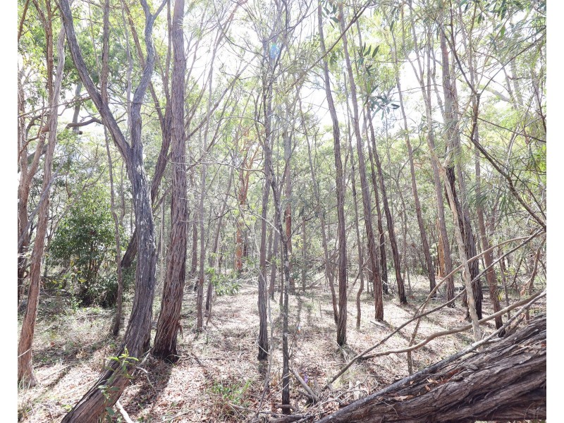 Lot 74 Mcghee Crescent, Agnes Water QLD 4677