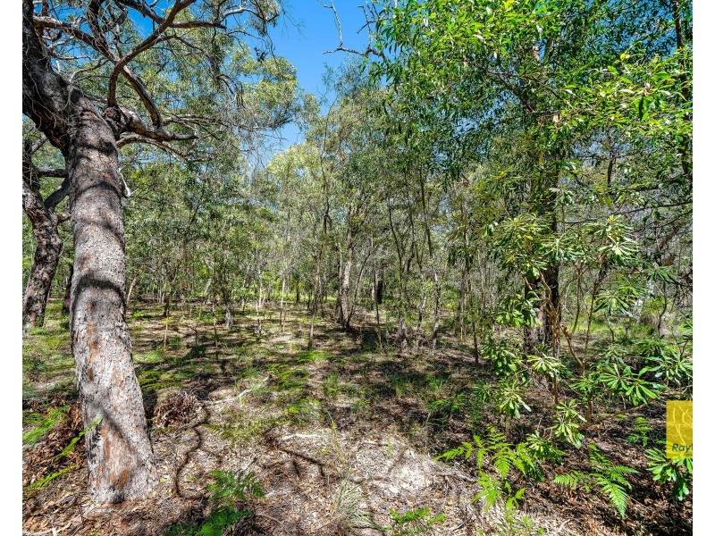 Lot 134 Bloodwood Avenue, Agnes Water QLD 4677