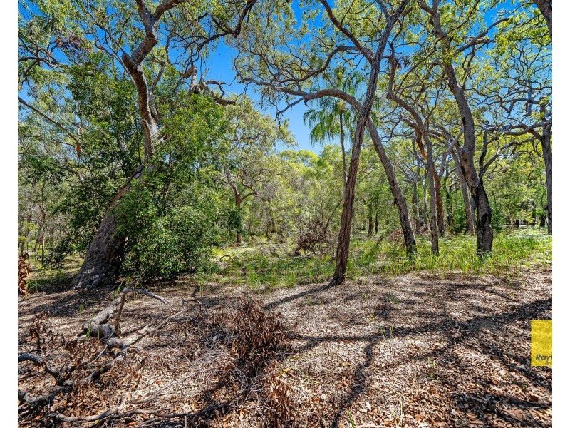 Lot 134 Bloodwood Avenue, Agnes Water QLD 4677