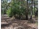 Lot 134 Bloodwood Avenue, Agnes Water QLD 4677