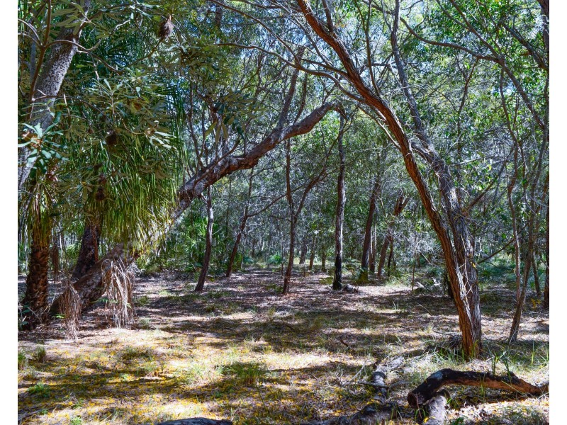 83 Bloodwood Avenue, Agnes Water QLD 4677