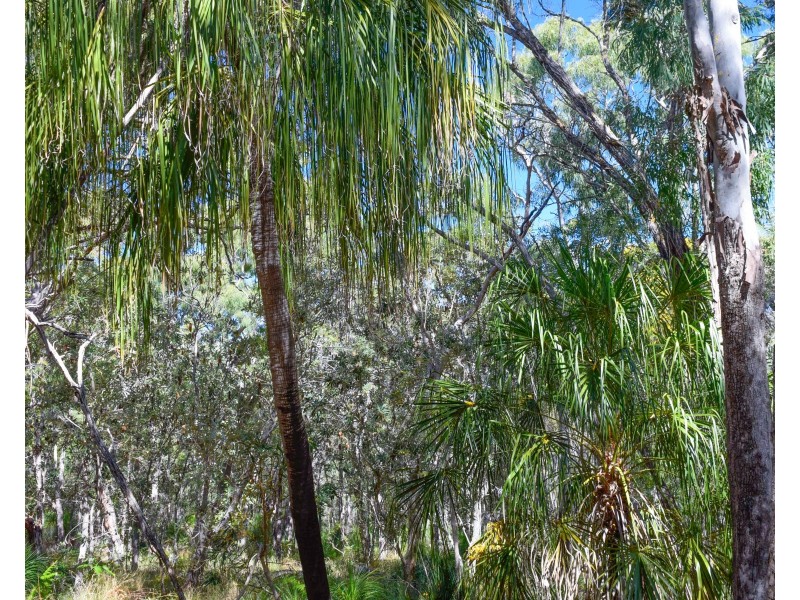 83 Bloodwood Avenue, Agnes Water QLD 4677