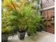 5/27 North Break Drive, Agnes Water QLD 4677