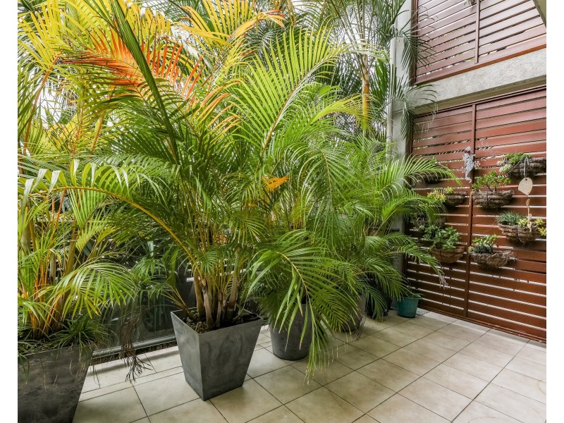 5/27 North Break Drive, Agnes Water QLD 4677