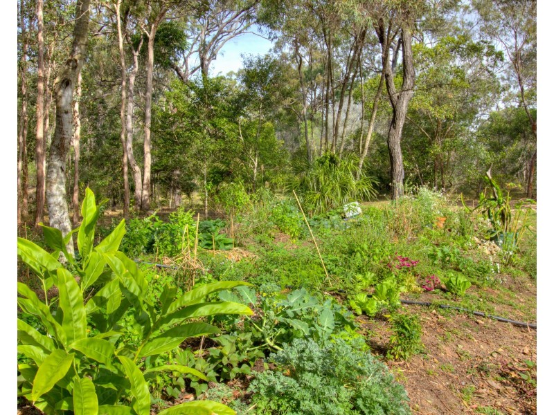 301 Innamincka Way, Agnes Water QLD 4677