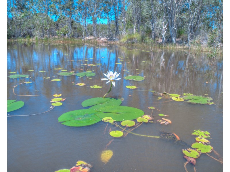 260 Anderson Way, Agnes Water QLD 4677