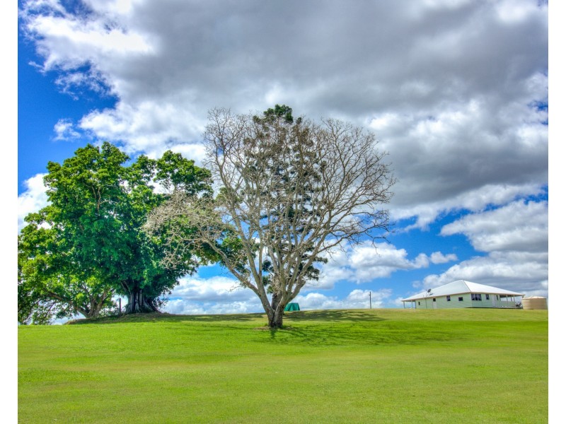 1097 Blackman Gap Road, Colosseum QLD 4677