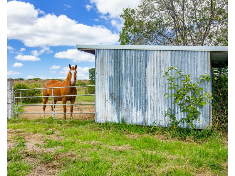 1097 Blackman Gap Road, Colosseum QLD 4677
