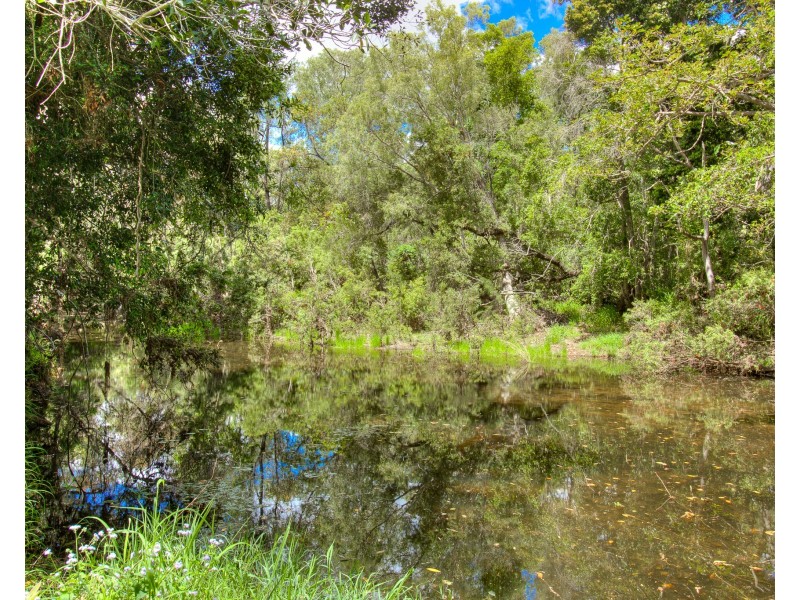 1097 Blackman Gap Road, Colosseum QLD 4677