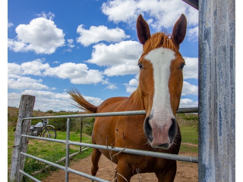 1097 Blackman Gap Road, Colosseum QLD 4677
