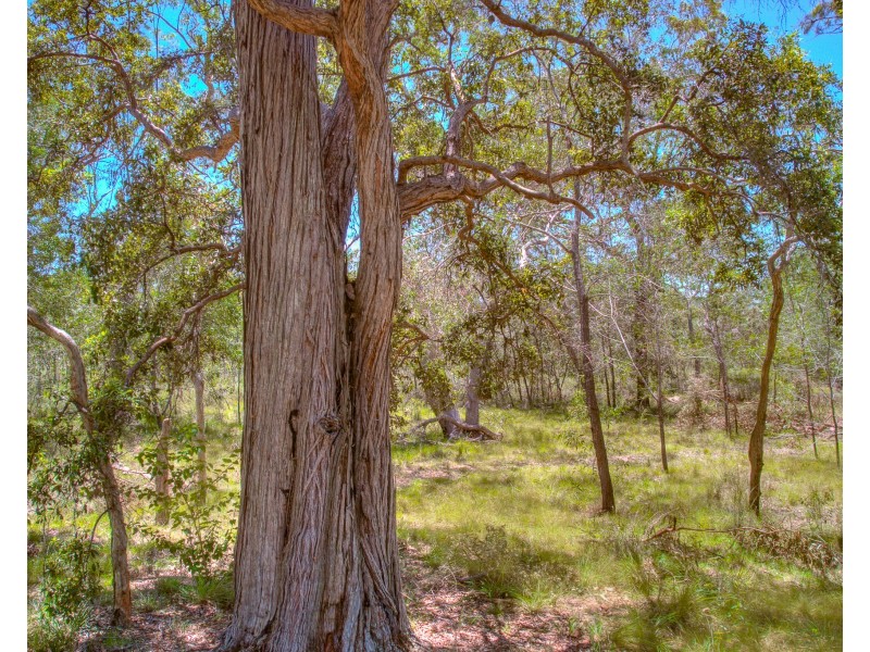 479 Davies Road, Captain Creek QLD 4677