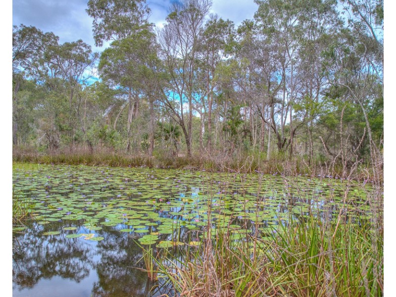 56 Rafting Ground Road, Agnes Water QLD 4677