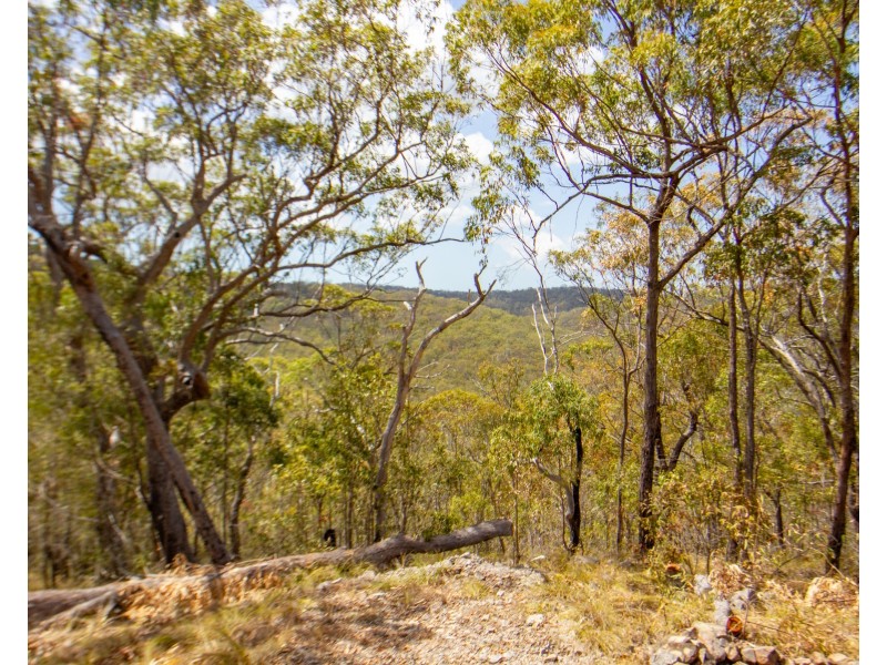 Lot 102 Range Road, Captain Creek QLD 4677