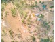 1216 Tableland Road, Mount Maria QLD 4674