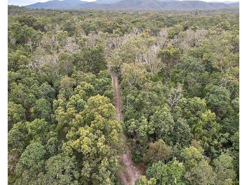 230 Avocado Crescent, Captain Creek QLD 4677