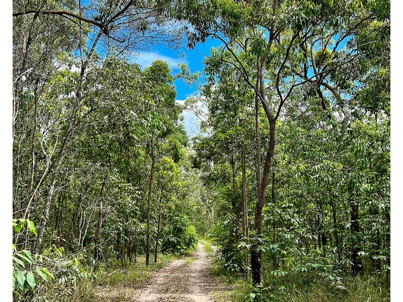 230 Avocado Crescent, Captain Creek QLD 4677