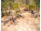 185 Mitchell Road, Mount Maria QLD 4674
