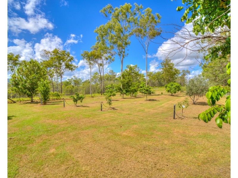 1382 Fingerboard Road, Mount Tom QLD 4677
