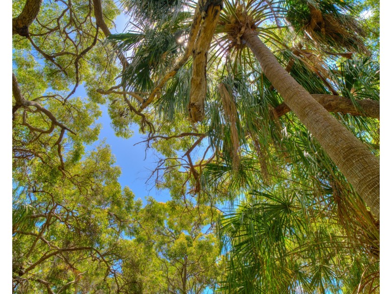 54 Sunrise Close, Agnes Water QLD 4677