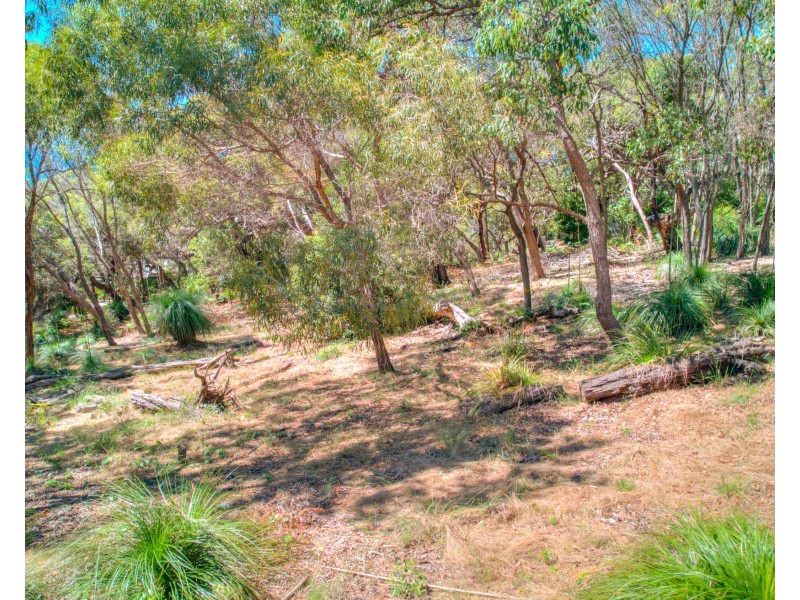 160 Sunbird Drive, Agnes Water QLD 4677