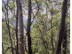 Lot 351 Streeter Drive, Agnes Water QLD 4677