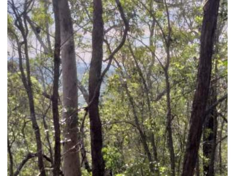 Lot 351 Streeter Drive, Agnes Water QLD 4677