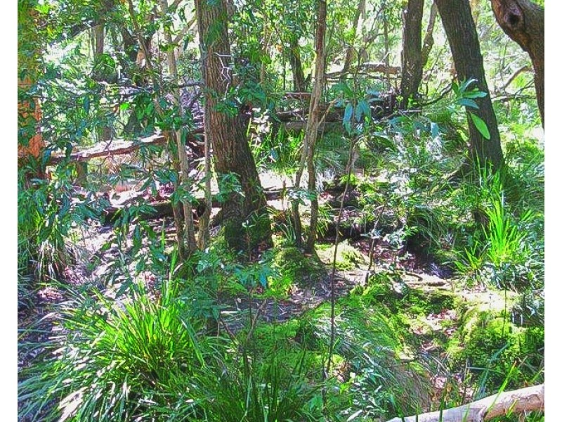 394 Murphy Road, Captain Creek QLD 4677