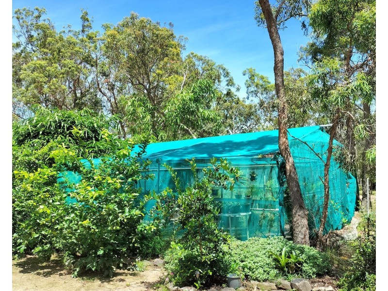 394 Murphy Road, Captain Creek QLD 4677