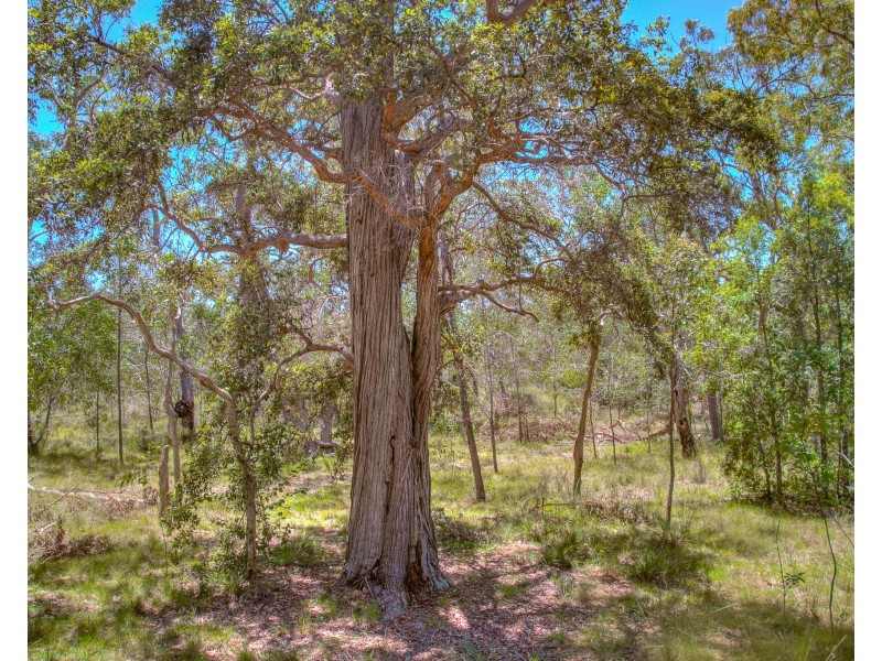 479 Davies Road, Captain Creek QLD 4677