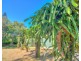 137 Josefski Road, Agnes Water QLD 4677