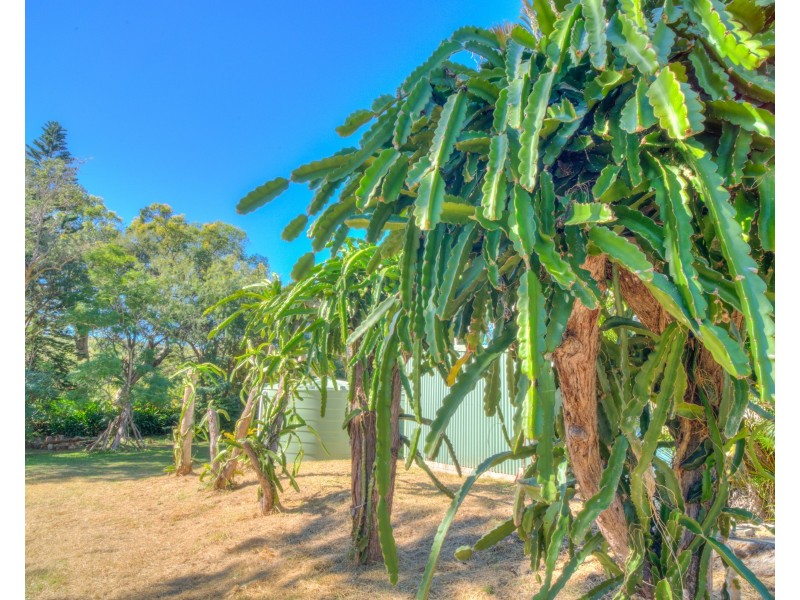137 Josefski Road, Agnes Water QLD 4677