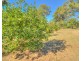 137 Josefski Road, Agnes Water QLD 4677