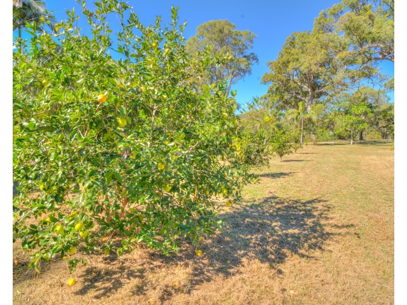137 Josefski Road, Agnes Water QLD 4677
