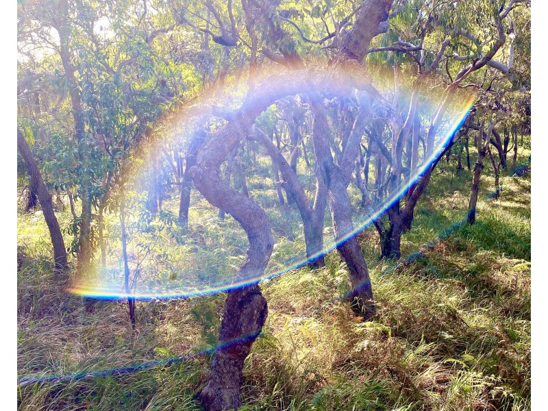 76 Bloodwood Drive, Agnes Water QLD 4677