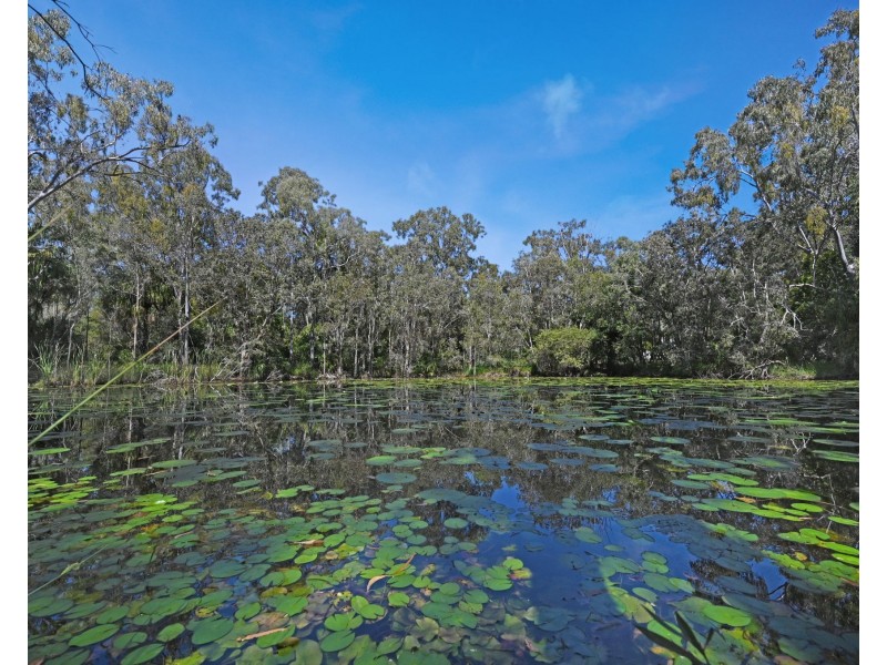 187 Rafting Ground Road, Agnes Water QLD 4677
