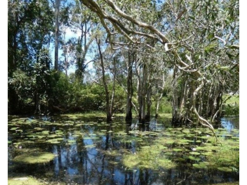 100 Blackmans Gap Road, Miriam Vale QLD 4677