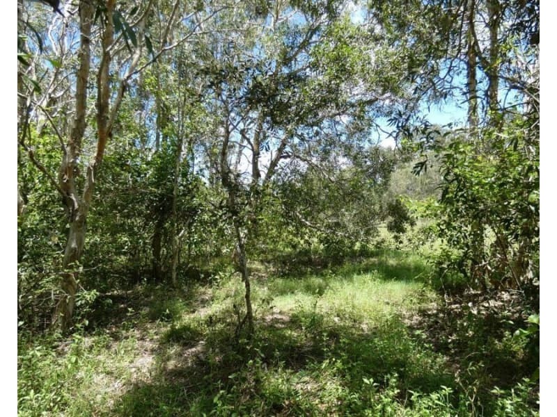 100 Blackmans Gap Road, Miriam Vale QLD 4677