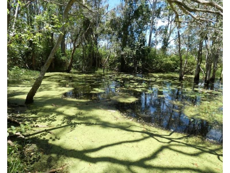 100 Blackmans Gap Road, Miriam Vale QLD 4677