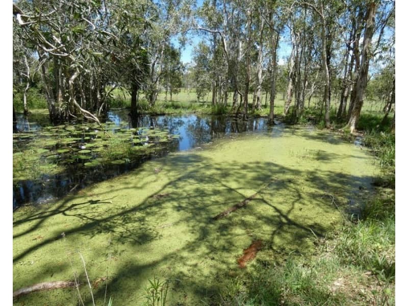 100 Blackmans Gap Road, Miriam Vale QLD 4677