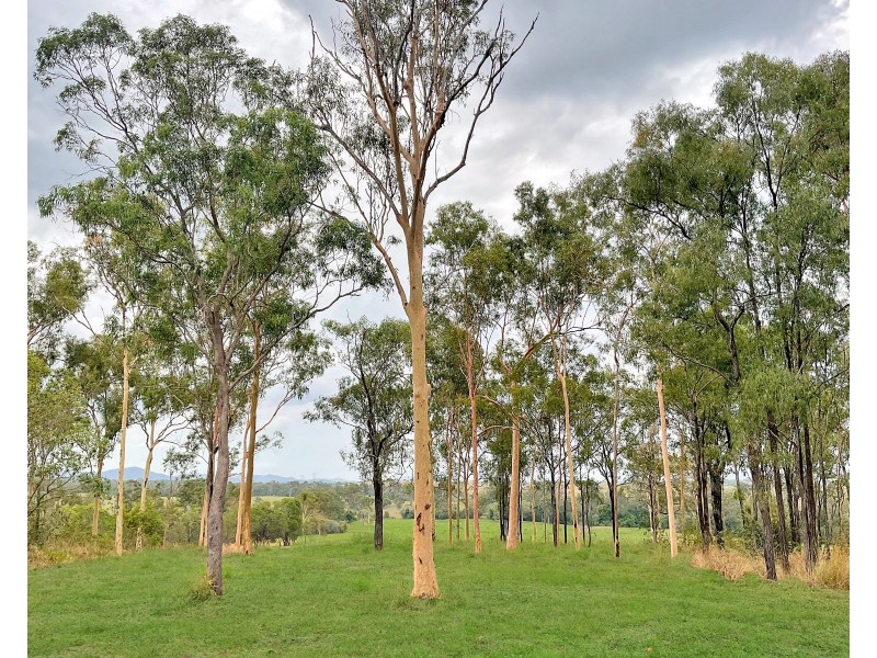 941 Gorge Road, Taunton QLD 4674