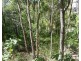 6 Bayview Close, Agnes Water QLD 4677