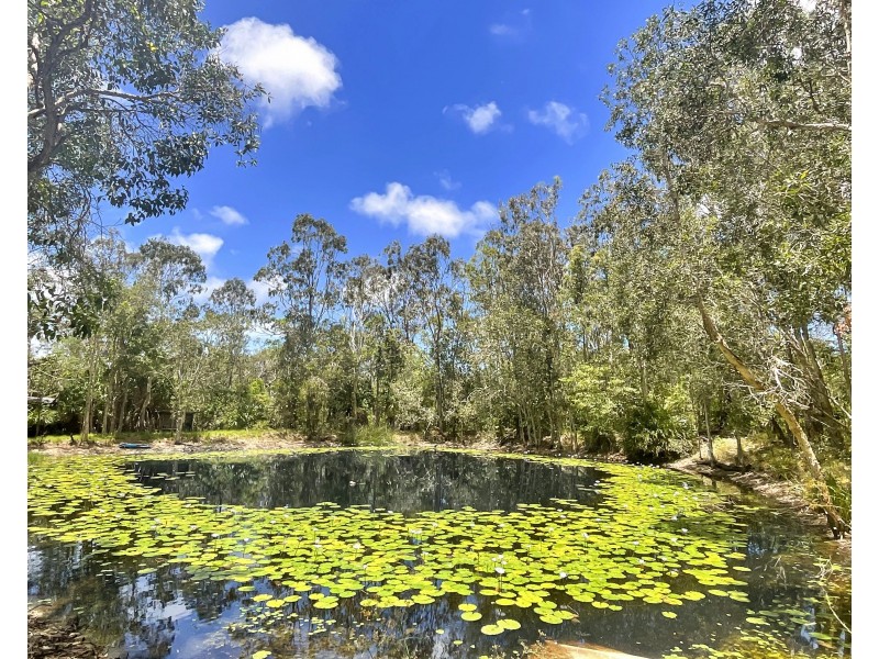 40 Watkins Road, Agnes Water QLD 4677