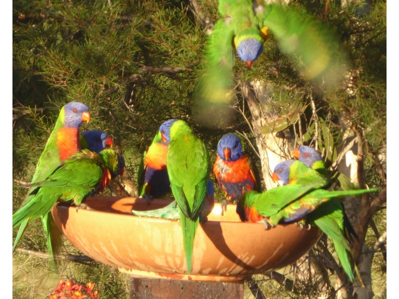 80 Streeter Drive, Agnes Water QLD 4677