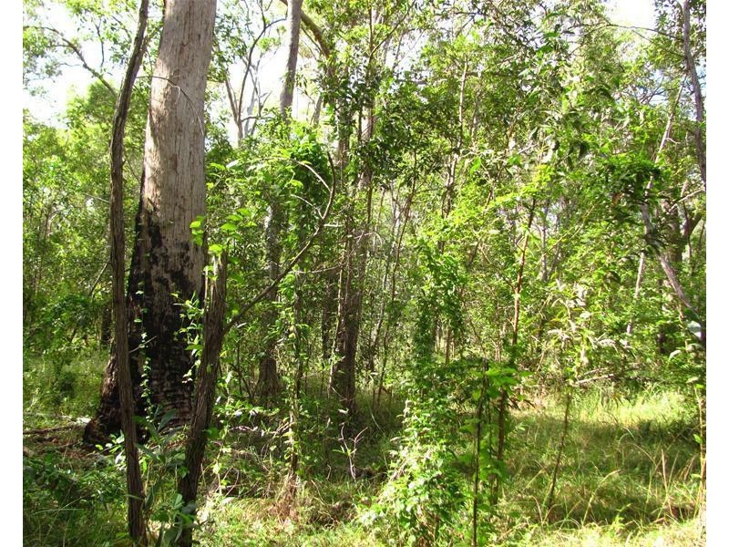 12 Gorge Road, Taunton QLD 4674