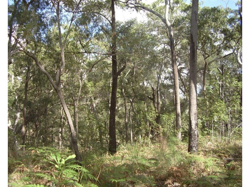 12 Gorge Road, Taunton QLD 4674