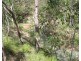 12 Gorge Road, Taunton QLD 4674