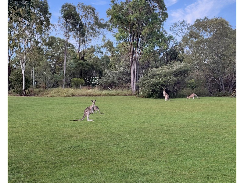 10 Stringybark Court, Miriam Vale QLD 4677