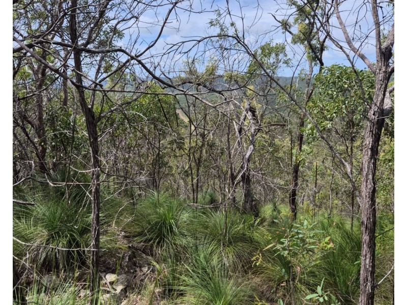 Lot/229 Murphy Road, Captain Creek QLD 4677