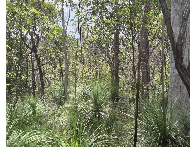 Lot/229 Murphy Road, Captain Creek QLD 4677